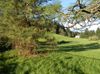 1374 Royvonne Ave SE photo
